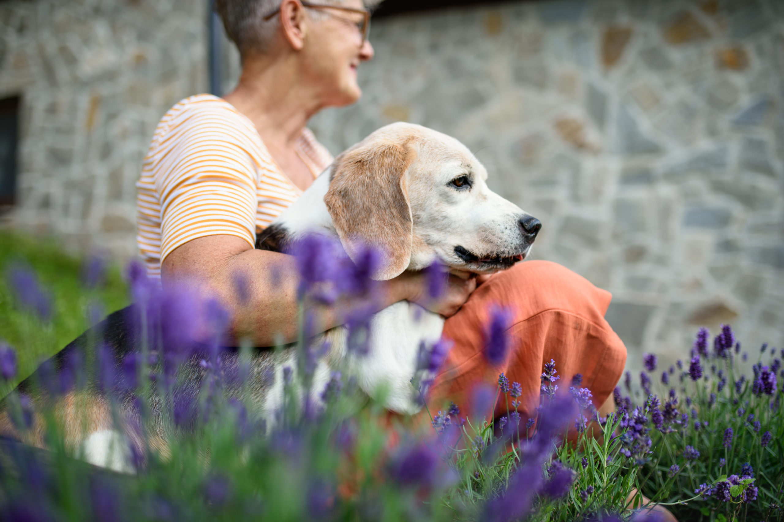 A Guide to Helping Seniors Cope with Losing Older Pets￼