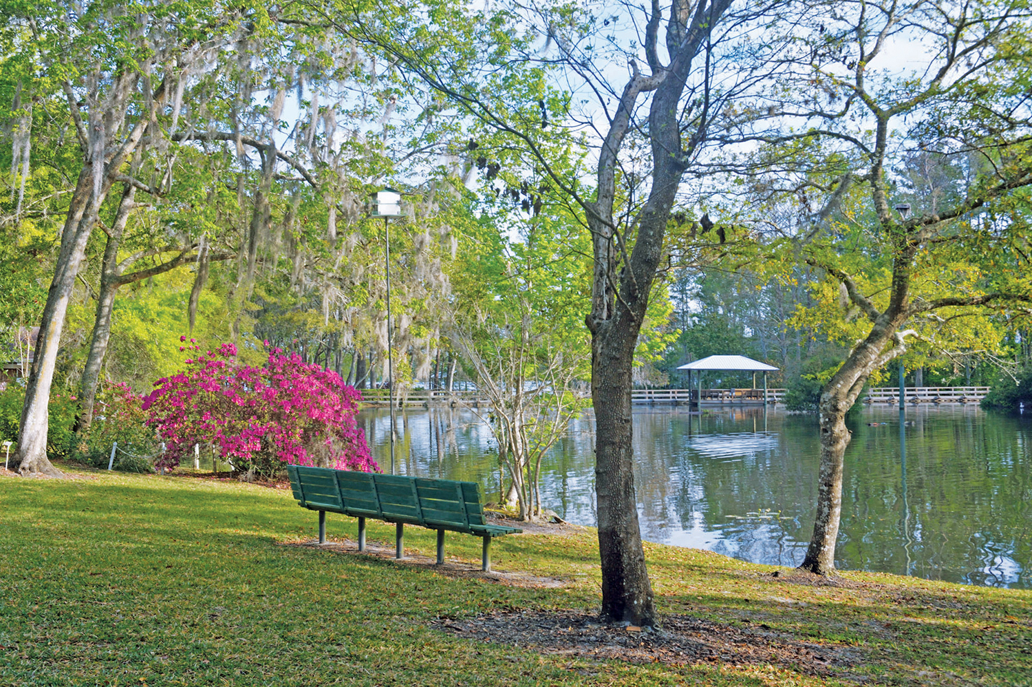 7 Big Benefits Of Outdoor Time At Independent Living In Jacksonville, FL
